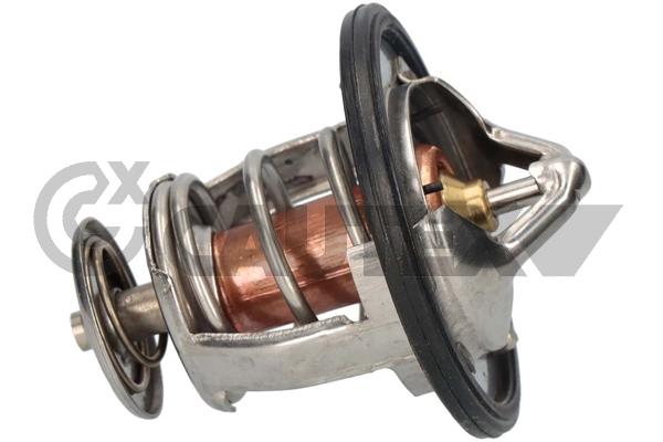 Thermostat, coolant (756901)