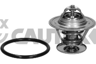 Thermostat, coolant (770206)