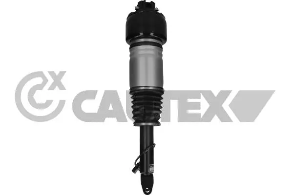 Air Suspension Strut (769189)