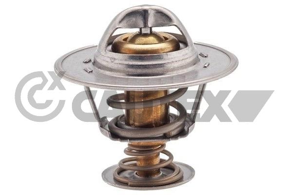 Thermostat, coolant (756839)