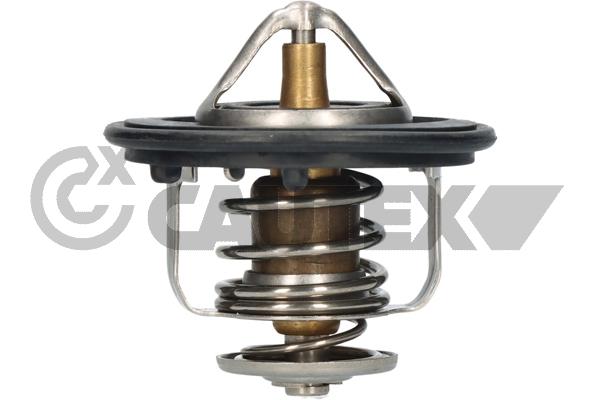 Thermostat, coolant (771483)