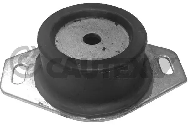 Mounting, engine (030301)