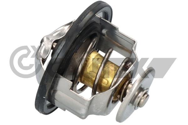 Thermostat, coolant (756886)