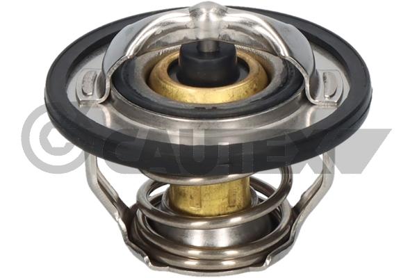 Thermostat, coolant (772471)