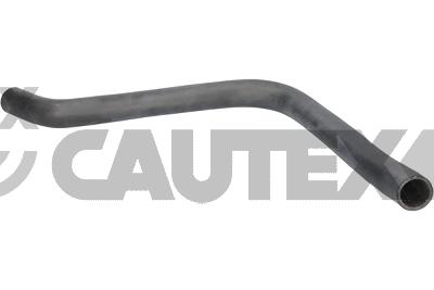 Radiator Hose (026729)