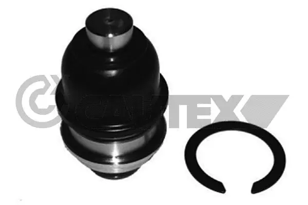Ball Joint (755050)