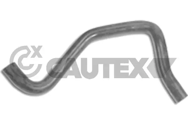 Radiator Hose (021199)