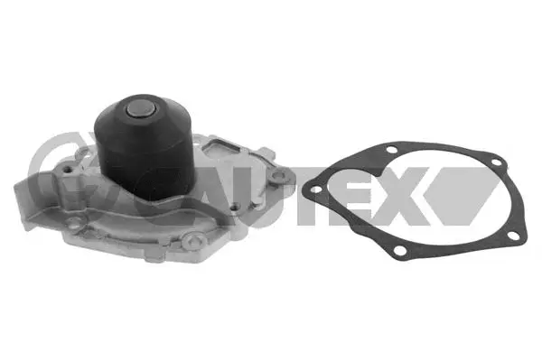 Water Pump, engine cooling (768751)