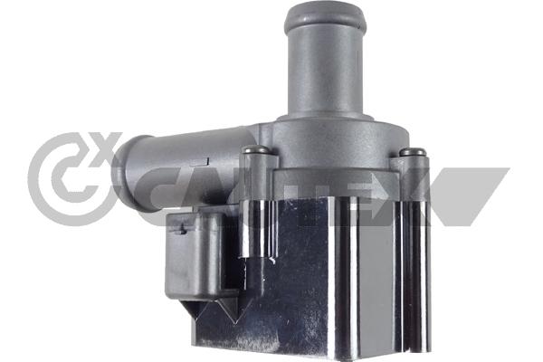 Auxiliary Water Pump (cooling water circuit) (768104)