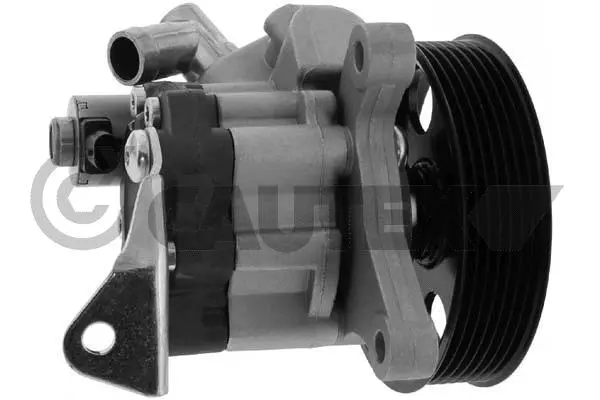 Hydraulic Pump, steering (773790)
