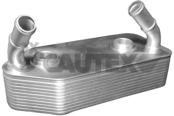 Oil Cooler, engine oil (462521)
