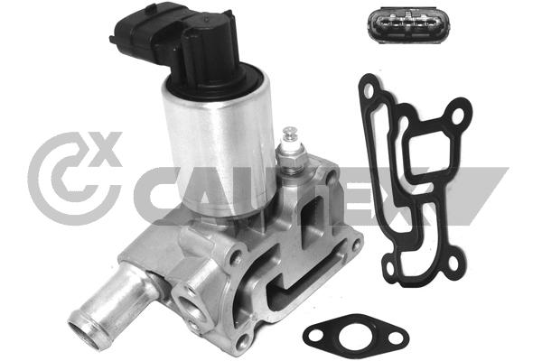 EGR valve, exhaust control (757556)