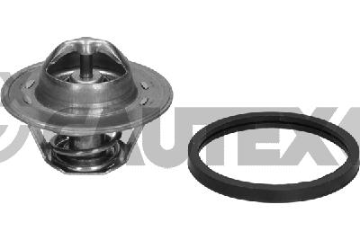 Thermostat, coolant (775905)