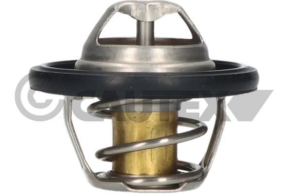 Thermostat, coolant (772119)