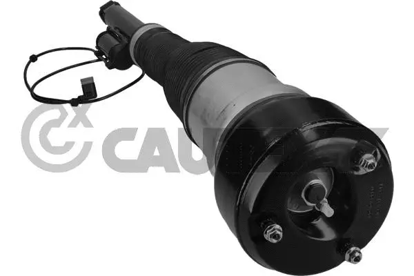 Air Suspension Strut (751963)