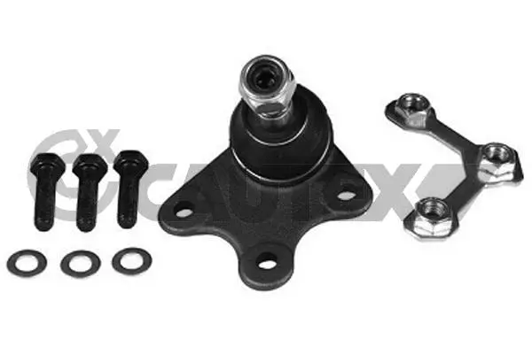 Ball Joint (755043)