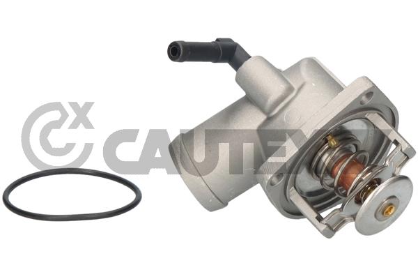 Thermostat, coolant (756695)