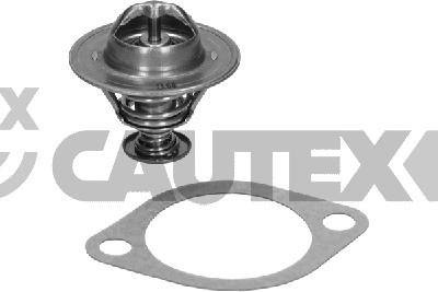 Thermostat, coolant (775419)
