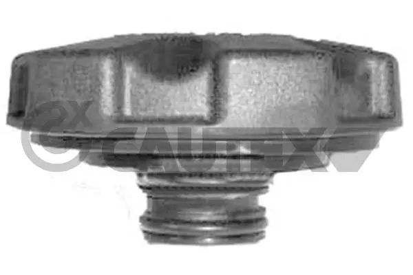 Cap, coolant tank (756763)