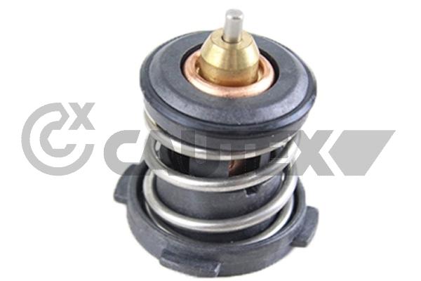 Thermostat, coolant (772148)