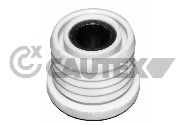 Bushing, axle beam (755698)