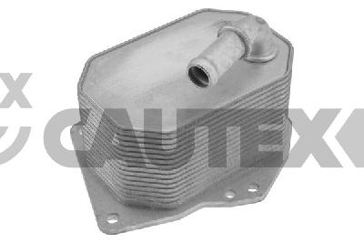 Oil Cooler, engine oil (775215)