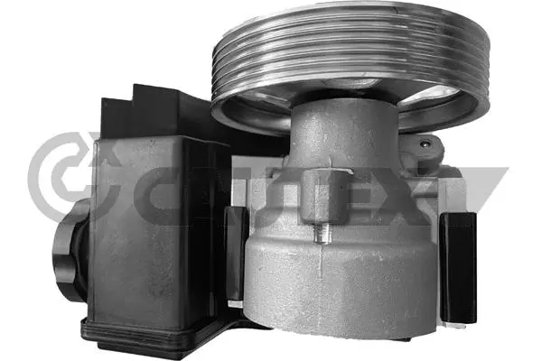 Hydraulic Pump, steering (768301)