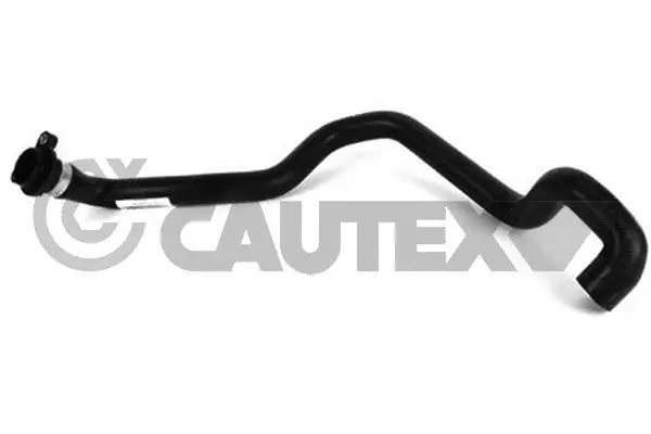 Radiator Hose (754341)