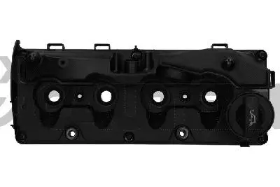 Cylinder Head Cover (772419)