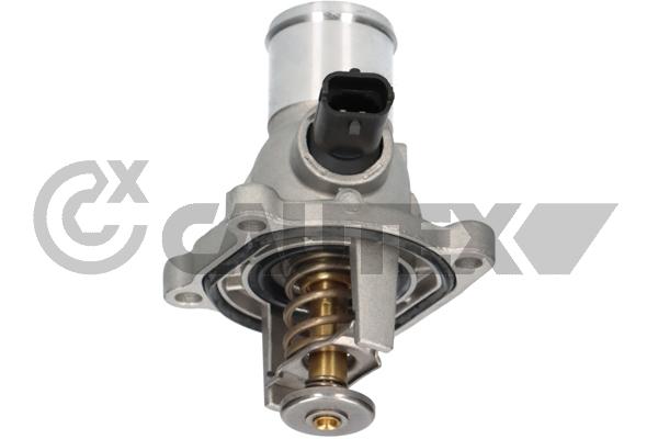 Thermostat, coolant (756861)