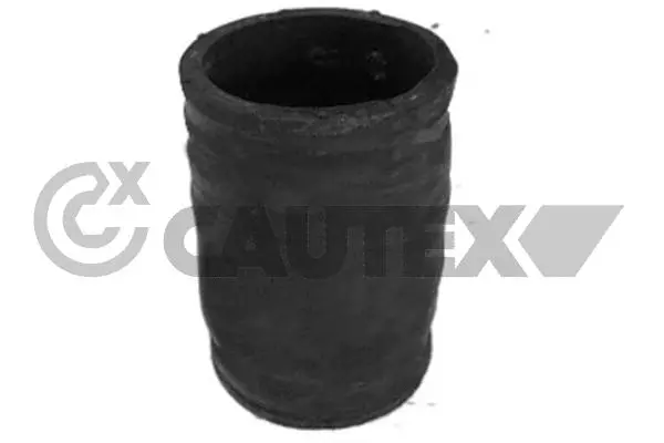 Radiator Hose (769917)