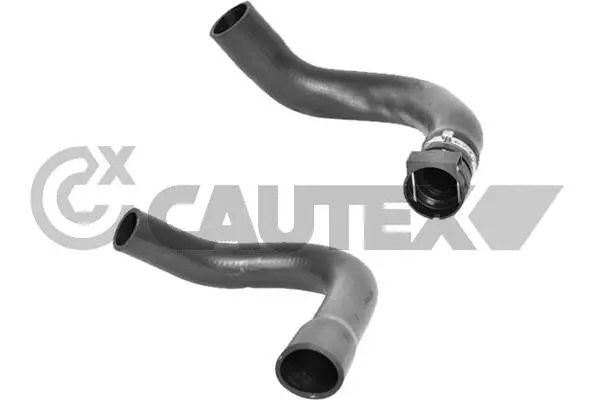 Radiator Hose (036774)