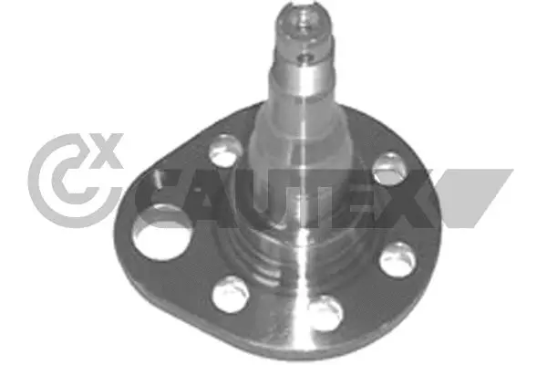 Wheel Hub (461009)