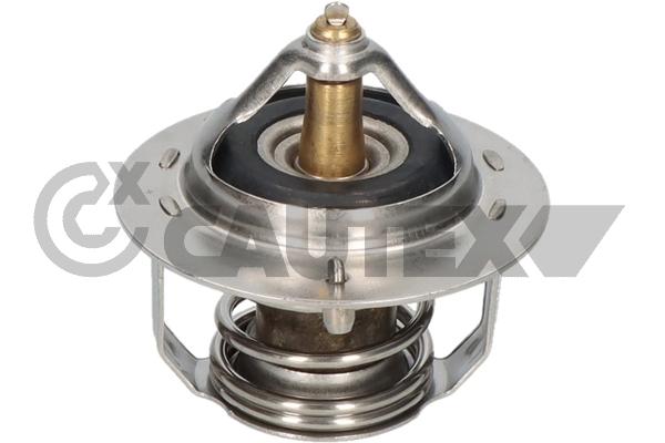 Thermostat, coolant (772475)