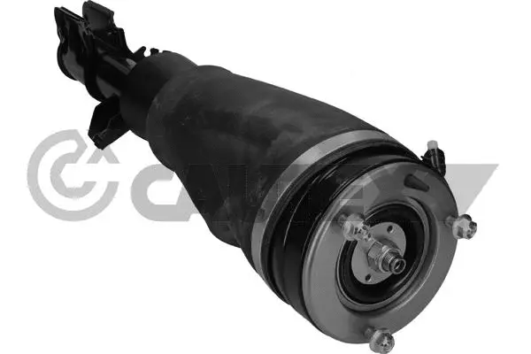 Air Suspension Strut (752029)