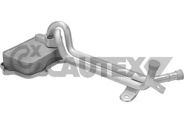 Oil Cooler, engine oil (462528)