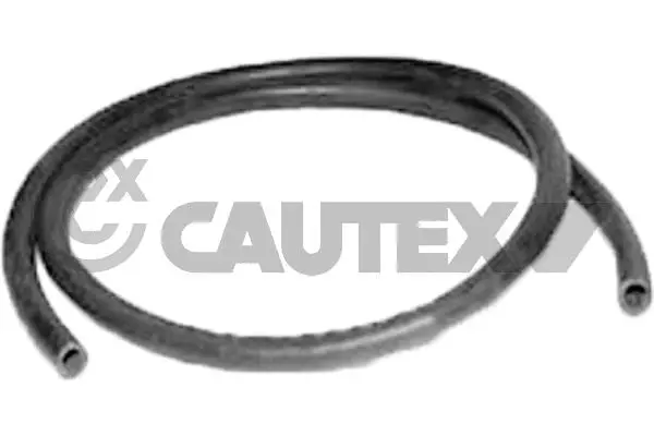 Radiator Hose (769646)