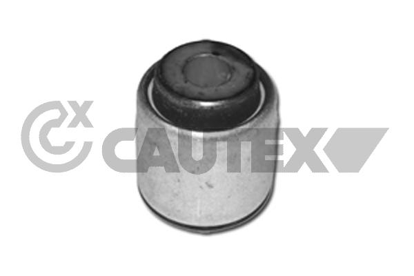 Mounting, control/trailing arm (461185)