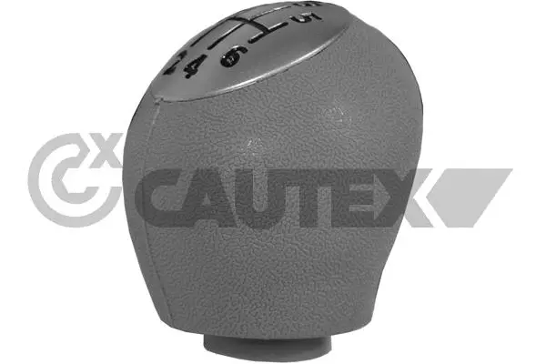Gear Shift Lever Knob (770539)