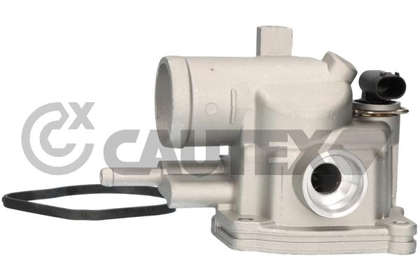 Thermostat, coolant (756732)