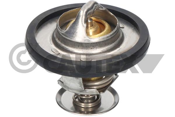 Thermostat, coolant (770190)