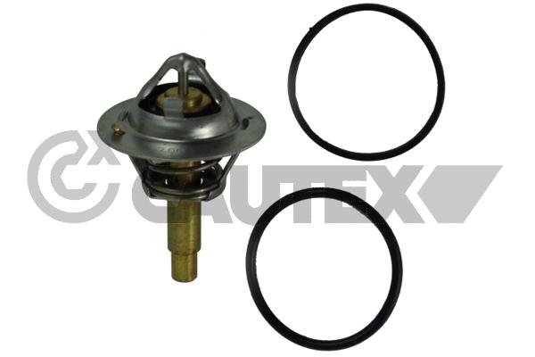 Thermostat, coolant (770205)