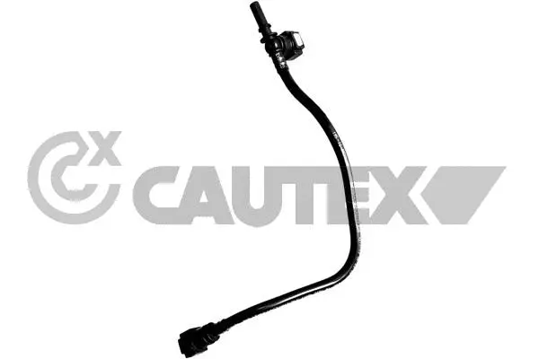 Fuel Line (771324)