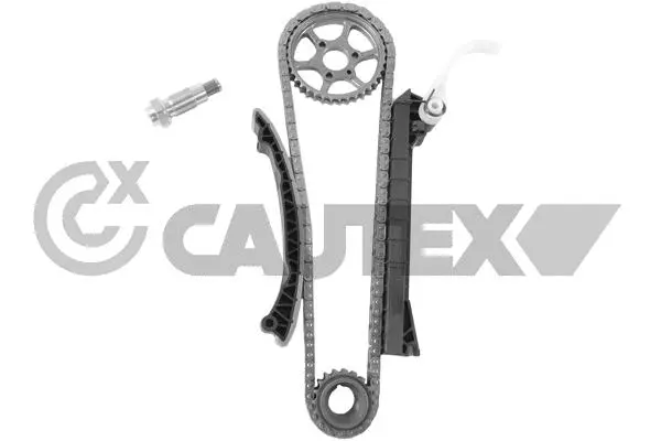 Timing Chain Kit (771998)