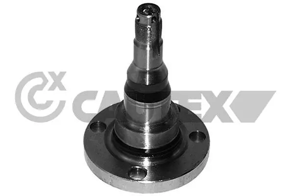 Steering Knuckle, wheel suspension (772046)