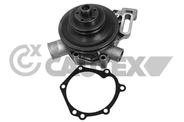 Water Pump, engine cooling (768752)