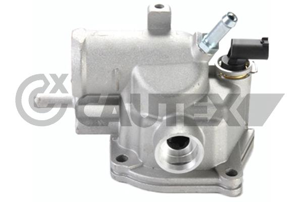 Thermostat, coolant (750793)