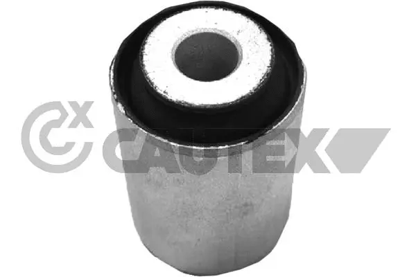 Mounting, control/trailing arm (760638)