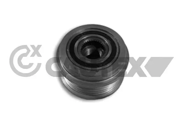 Belt Pulley, alternator (460972)