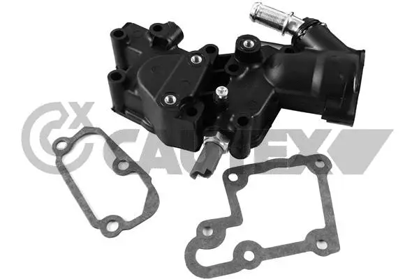Thermostat, coolant (955391)